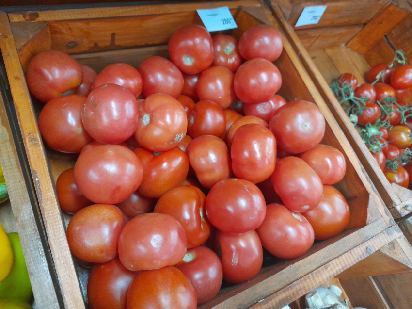 ​Сбор урожая томатов начался в агропредприятии Читинского округа